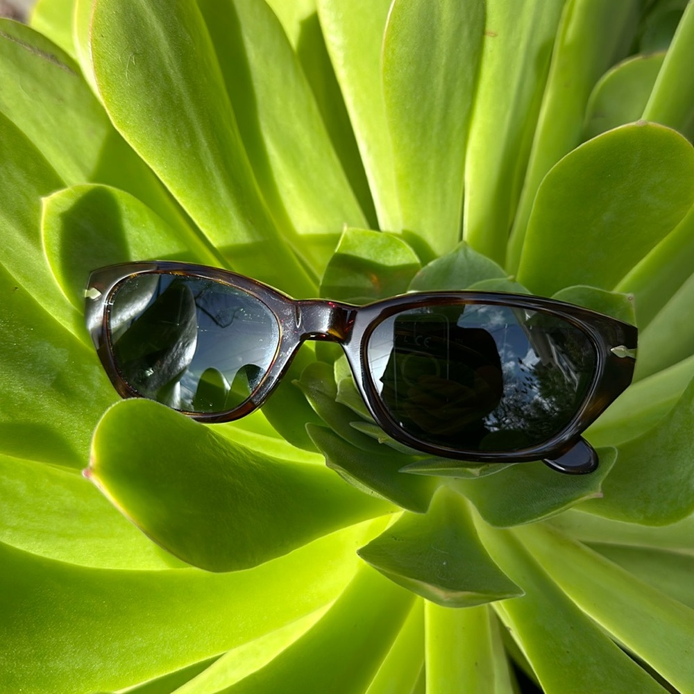 Persol PO 2977-S Sunglasses, Women's, Size 50/19